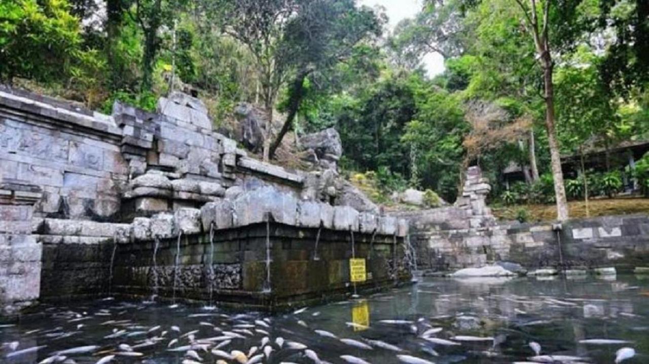 فيلا Welirang Forest Pacet Mojokerto المظهر الخارجي الصورة